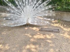 -秦皇岛野生动物园