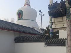 -西塔
