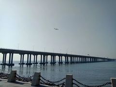 -宝安西湾红树林湿地公园