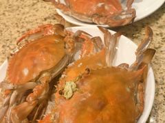-禾斗海鲜自助(市南银座店)