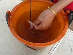 -红树林天天赶海