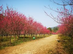 -福清灵石山国家森林公园