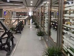 -金吉鸟健身游泳
