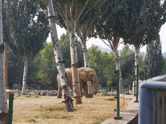 -石家庄市动物园