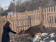 -水上乐园·欢乐世界