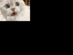 -八十八粉儿(尚都店)