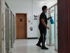-北京京卫宠物寄养训练中心