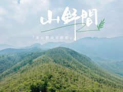 -中国大竹海景区