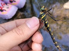 -碓臼峪自然风景区