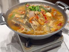 -阿露佳·舌尖上的安吉菜