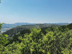 -原山国家森林公园