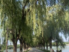 -北陵公园