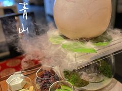 -汤城·料青山