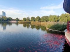 -西海子公园