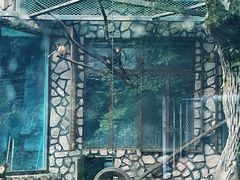-横道河子东北虎林园