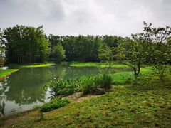 -桤木河湿地公园