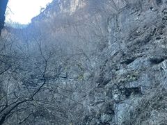 -长沙黑麋峰国家森林公园