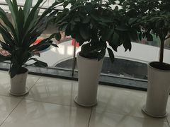 -偶屋里钵少爷(时代广场店)