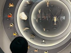 -中国湿地博物馆