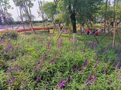 -铁山坪森林公园