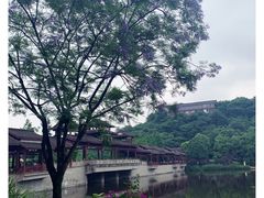 -重庆彩云湖湿地公园