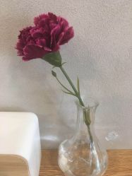 -巴黎拉斐派瑞美发沙龙
