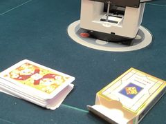 -金色希望596