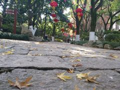 景点-瀛洲公园