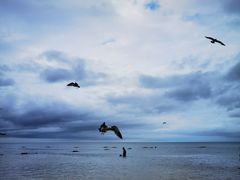 -那香海钻石沙滩浴场