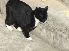 -叠溪松坪沟景区