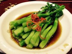 大汗行宫园林餐厅-大汗行宫园林餐厅