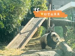 -武汉动物园