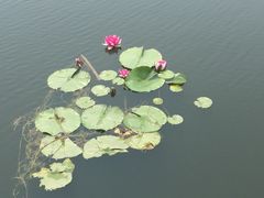 -前关湿地公园