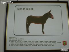 店里张贴画4-王胖子驴肉火烧(鼓楼店)
