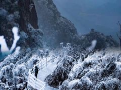 -金子山原生态旅游风景区