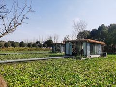 -洪湖家庭农场·团建·露营·会议