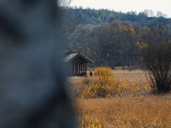 -塞罕坝国家级自然保护区