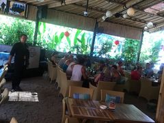 -Bamboo Bar & Grill Restaurant