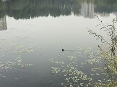 -丁香湖公园