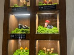 -菌自由丨野生菌火锅特色庭院餐厅(丽江古城店)