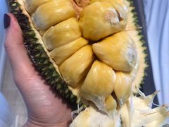 -三亚新鸿港水果一级批发市场