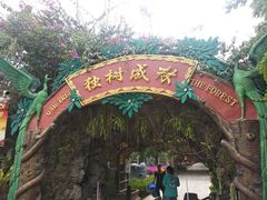 -瑞丽独树成林风景区