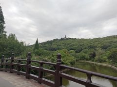 -苏州上方山国家森林公园