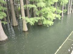 -采石矶景区