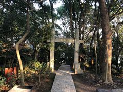 -上海佘山国家森林公园天马山园