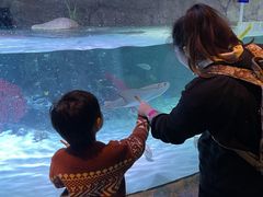 -沈阳海洋探索中心