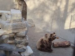 -保定市动物园