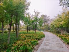 -东疆建设开发纪念公园