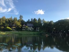-四季酒店下午茶