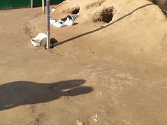 -前小桔亲子创意农场·草莓采摘·露营烧烤